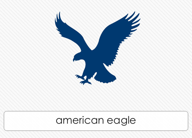  American Eagle 