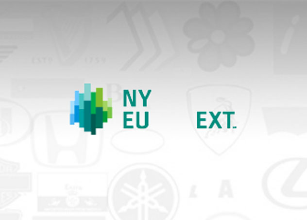  NYSE Euronext 