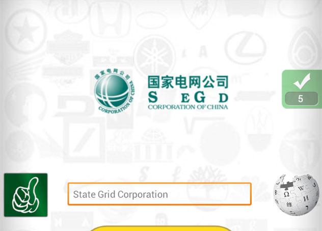  State Grid Corporation 