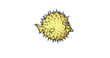  OpenBSD 