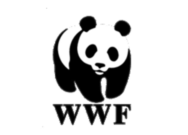  WWF 