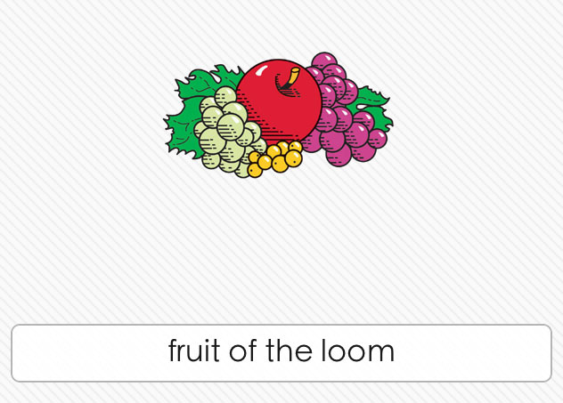  Fruit Of The Loom 