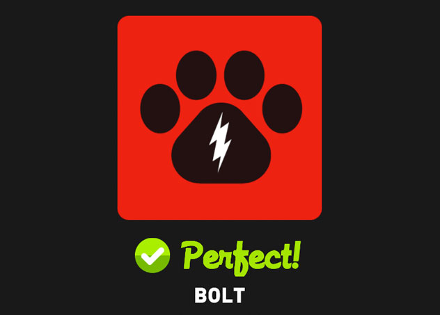  Bolt 