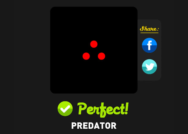 Predator 