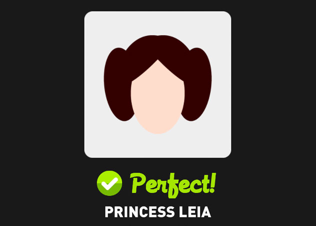  Princess Leia 