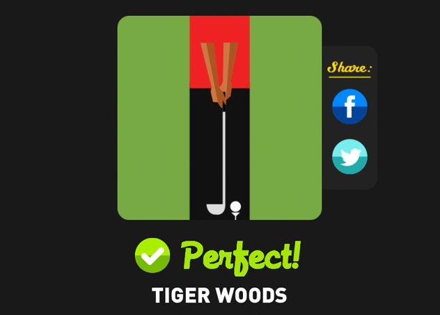  Tiger Woods 