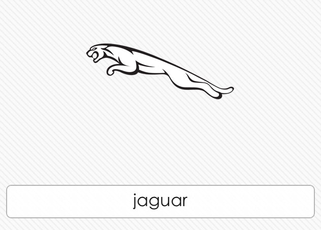  Jaguar 