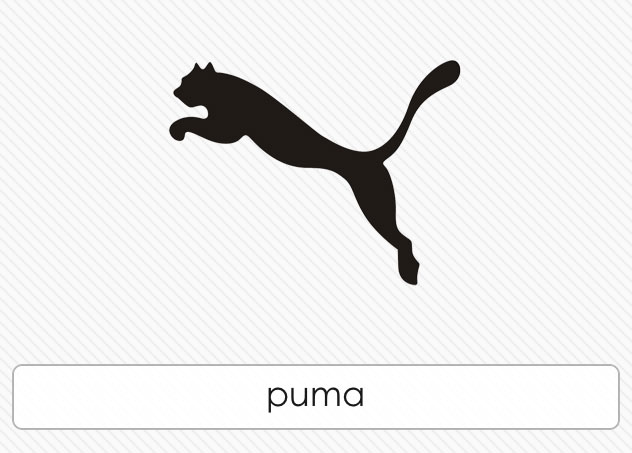  Puma 
