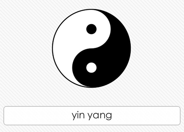  Yin Yang 